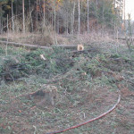 Zásah 11.1.2007 - požár lesa u Studence