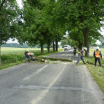 Zásah 30.6.2011 - likvidace stromu u Krucemburku