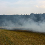 11.8.2015_Požár pole Peršíkov