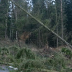 18_01_09_Odstranění spadlého stromu ze silnice odb. na Dlouhý I