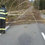 18_01_09_Odstranění spadlého stromu ze silnice odb. na Dlouhý II