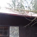 9.12.2019_Odstranění spadlého stromu na chatu